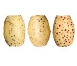 Stuha vázací KRAFT - mix hvězdy / 10 m