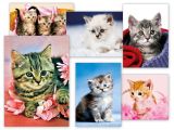 Pohlednice - koťata / mix