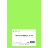 Barevný karton - A4 / 160 g / jarní zelená