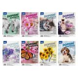 Dopisní sada - 10 + 10 bílá