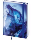 Diář VARIO Matragi - A5 / týdenní / blue
