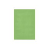 Barevný karton - A4 / 180 g / zelená
