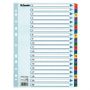 Zesílené rejstříky Mylar, mix barev, karton, A4, 1-20, ESSELTE