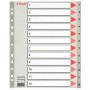 Barevné rejstříky, šedá, A4 Maxi, plast, 1-12, ESSELTE