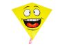 Drak Smiley / 68 x 73 cm