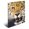 Deska s gumičkou PP A4 Leopard