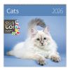 Nástěnný plánovač 2026 Kočky