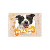 Obal PP s patentem A5, Little Dog