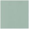 Ubrousky PAW AIRLAID 40x40 cm Monocolor Light Green