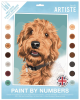 malování podle čísel DOA 550724 - Playful Labradoodle