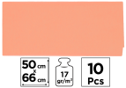 papír hedvábný 50x66 10ks lososový PN221-05