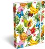 Školní box A4 s gumou Cornell Tropica