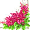 Ubrousky DAISY L (20ks) Elegant Poinsettia