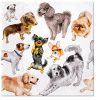 Ubrousky PAW Dekor L (20ks) Dogs Happiness