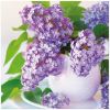 Ubrousky PAW Dekor L (20ks) Lilac Cup Bouquet