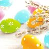 Ubrousky DAISY L (20ks) Patel Eggs with Catkins