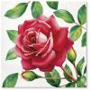 Ubrousky PAW TETE L (20ks) Special Rose