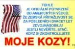 Průkaz Tohle je oficiální potvrzení od ...