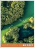 Spirálový sešit Colourful Magic, mix motivů, A4+, čtverečkovaný, 80 listů, SHKOLYARYK A4-080-6521K