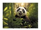 Desky s gumičkou Panda, A4, 15 mm, PP, PANTA PLAST 0410-0064-58