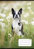 Sešit B&W dogs, 27-32, mix motivů, A5, čtverečkovaný, 32 listů, COOL BY VICTORIA