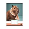 Sešit Capybara, 20-32, A5, čistý, 32 listů, OPTISCHOOL 27I2032-023
