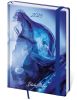 Diář VARIO Matragi - A5 / týdenní / blue