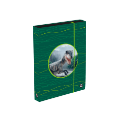 Karton P+P  Box na sešity A4 Jumbo OXY Sherpy Green