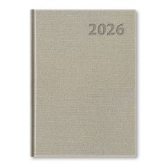 Diář 2026 denní A6 Manager - platinový