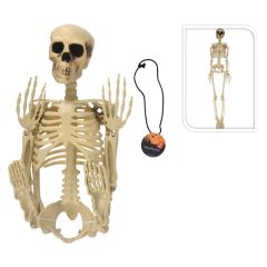 KOOPMAN  Kostra jako dekorace na Halloween párty 90 cm