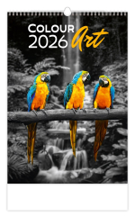 Nástěnný kalendář 2026 Colour Art