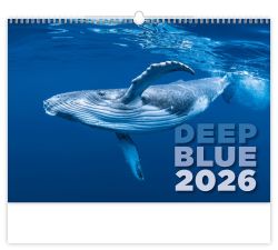 Nástěnný kalendář 2026 Deep Blue