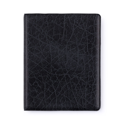 Pastelini  Obal na doklady lesk