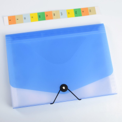 Organizér na dokumenty s gumou A4 Opaline čirá-modrá 13kapes