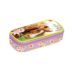 Karton P+P  Pouzdro etue komfort kůň