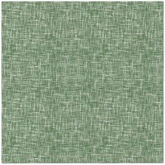 Paw  Ubrousky PAW AIRLAID 40x40 cm - Linen Structure Green