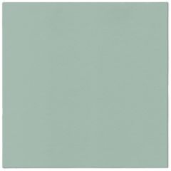 Ubrousky PAW AIRLAID 40x40 cm Monocolor Light Green