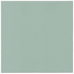 Ubrousky PAW AIRLAID 40x40 cm Monocolor Light Green