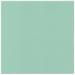 Ubrousky PAW AIRLAID 40x40 cm Monocolor (mint)