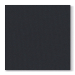Ubrousky PAW AIRLAID L 40x40cm Unicolor Black
