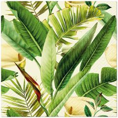 Paw  Ubrousky PAW L 33x33cm Tropical Times