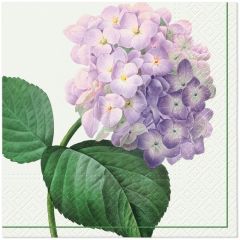 Ubrousky PAW L 33x33cm Vintage Hydrangea
