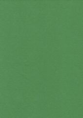 filc zelený olivový  YC-677