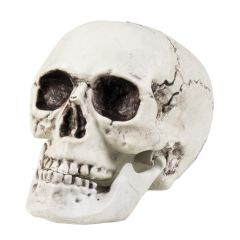 Boland Dekorace lebka s pohyblivou čelistí 24 cm