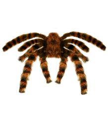 Widmann Tarantule dekorace 65 cm