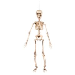 Boland Dekorace kostra na zavěšení 50 cm