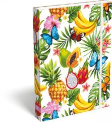Školní box A4 s gumou Cornell Tropica