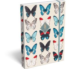 Školní box A4 s gumou XLook Butterfly