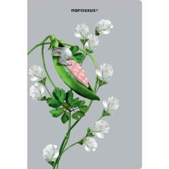 Narcissus  Narcis desky A4 PEA PADS /10/ ,balení 10 ks