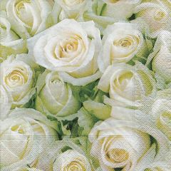 PAPER DESING  Ubrousky Paper Design L (20ks) White roses